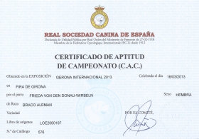 Certificado de aptitud CAC Girona 2013